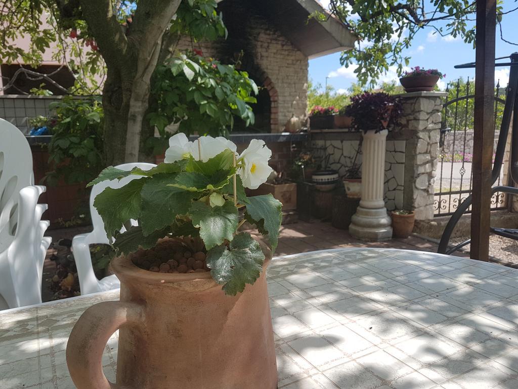 Apartment Adis Sibenik Luaran gambar